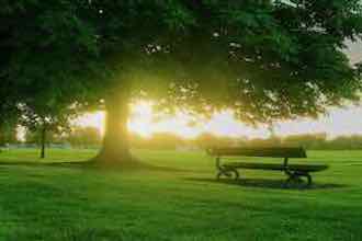 free energy health check